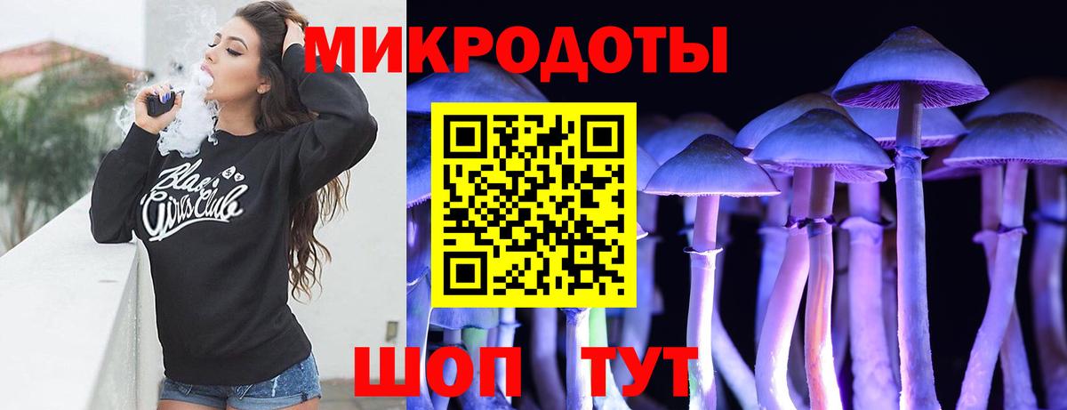 Мурино  Галлюциногенные грибы Psilocybine cubensis  Вход с VPN 