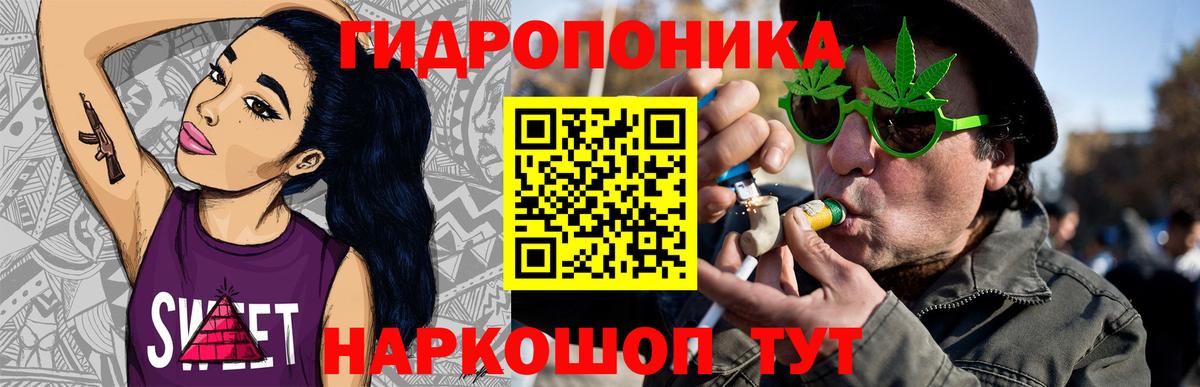 Каннабис конопля Мурино